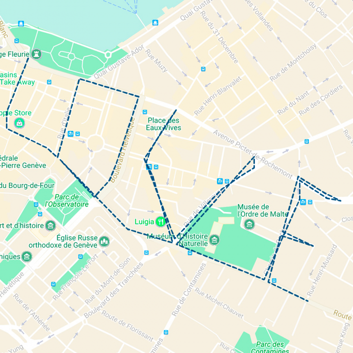 Parcours de 5 km, le 1er mai 2015, Geneve - Running Drawing - Love